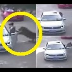 Video người phụ nữ vừa xuống xe ô tô bị hổ vồ và ăn thịt