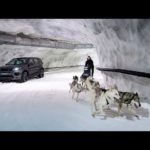 Land rover Discovery Sport Dynamic 2018 đua trên tuyết với chó
