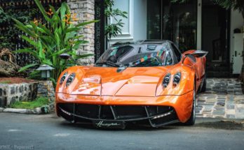 Minh nhựa mua Pagani để trưng bày
