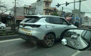 xe vinfast trên phố Việt