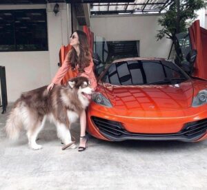 hot girl khoe siêu xe
